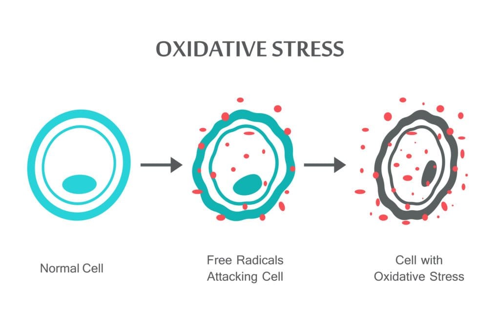 picture of a oxidative stress diagram