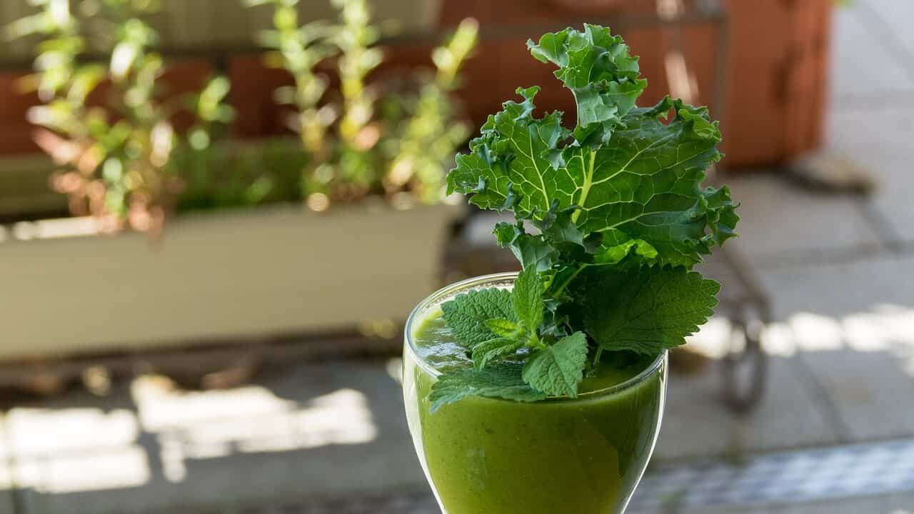 Avocado and Kale Smoothie