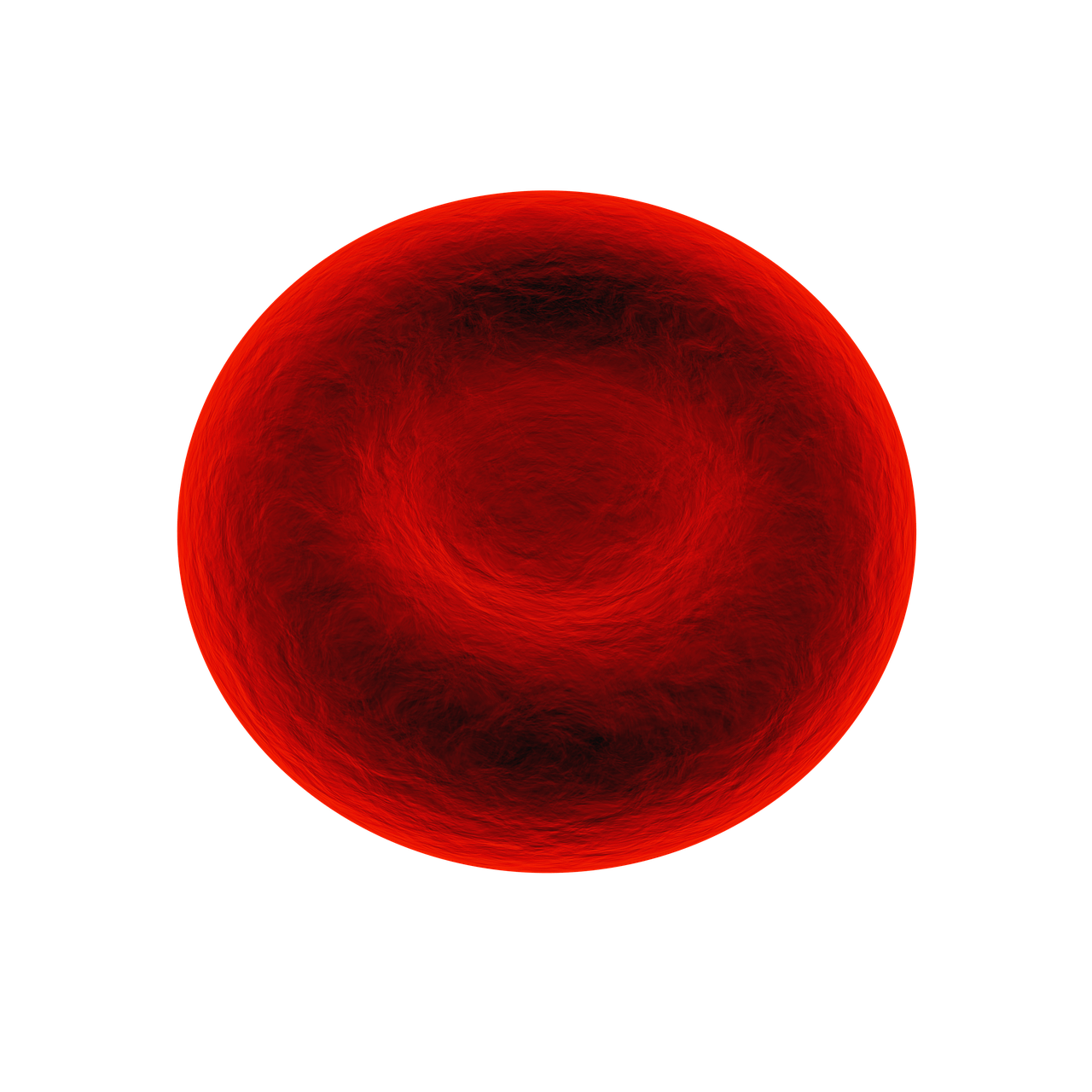 red blood cell